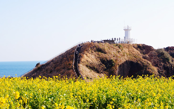 제주도